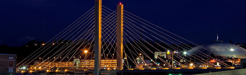 Night Reflection