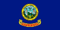 State Flag