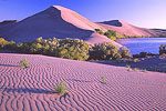 Bruneau Sand Dunes