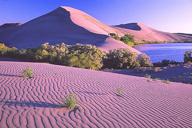 Bruneau Sand Dunes