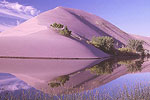 Bruneau Sand Dunes