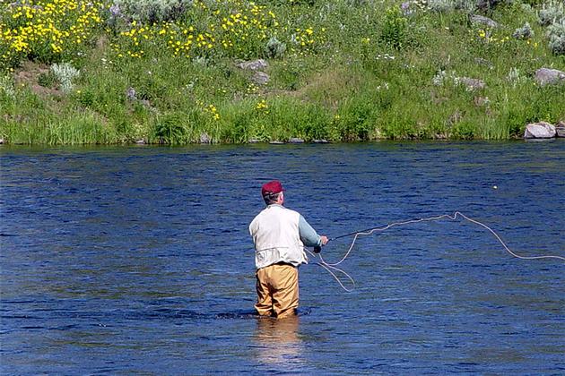 Fly Fishing